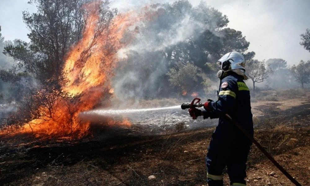 Φωτιά στον Έβρο: Ελεύθεροι χωρίς όρους οι 4 πρώτοι μετανάστες από τους 13 που απολογήθηκαν
